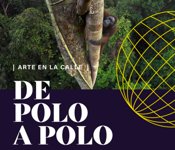 De Polo a Polo, la exposición itinerante de National Geographic