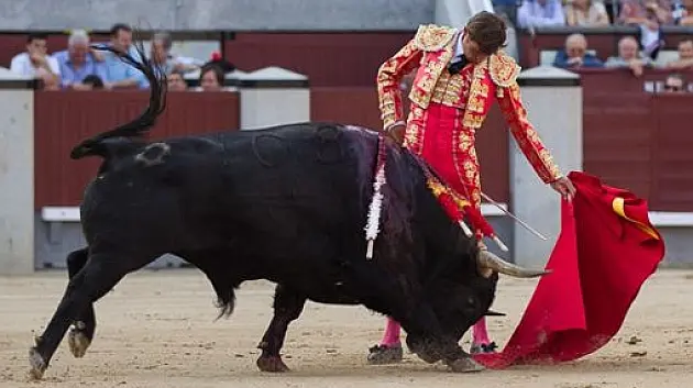 Eugenio de Mora en el ruedo