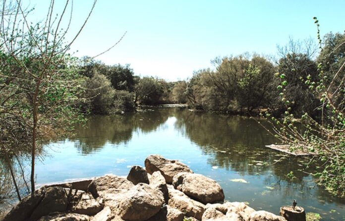 Finca El Borril