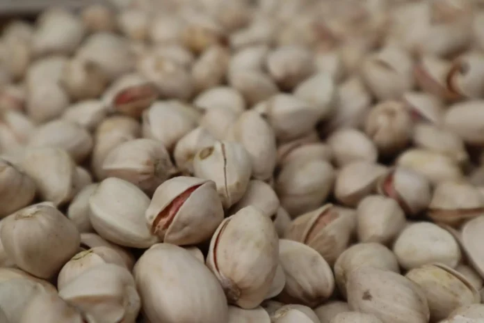 Asaja C-LM insta a productores de pistacho a estar vigilantes ante prácticas abusivas de las procesadoras