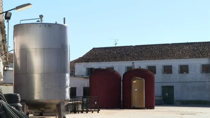 C-LM cerró el mes de julio con 303 nuevas sociedades mercantiles, su tercer mejor dato de la serie histórica