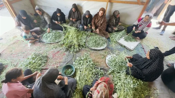 C-LM desarrolla 22 proyectos en más de una decena de países afectados por conflictos armados o crisis alimentarias