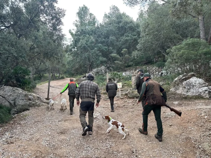 Castilla-La Mancha aprueba el nuevo reglamento de caza que permitirá ampliar cotos y reforzar el control de especies