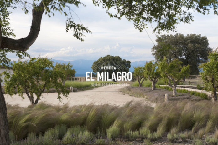 Dehesa El Milagro en Alcañizo