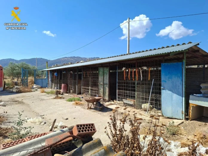 Detenido por maltrato y abandono animal el dueño de una rehala de Toledo, donde se hallaron 14 perros muertos