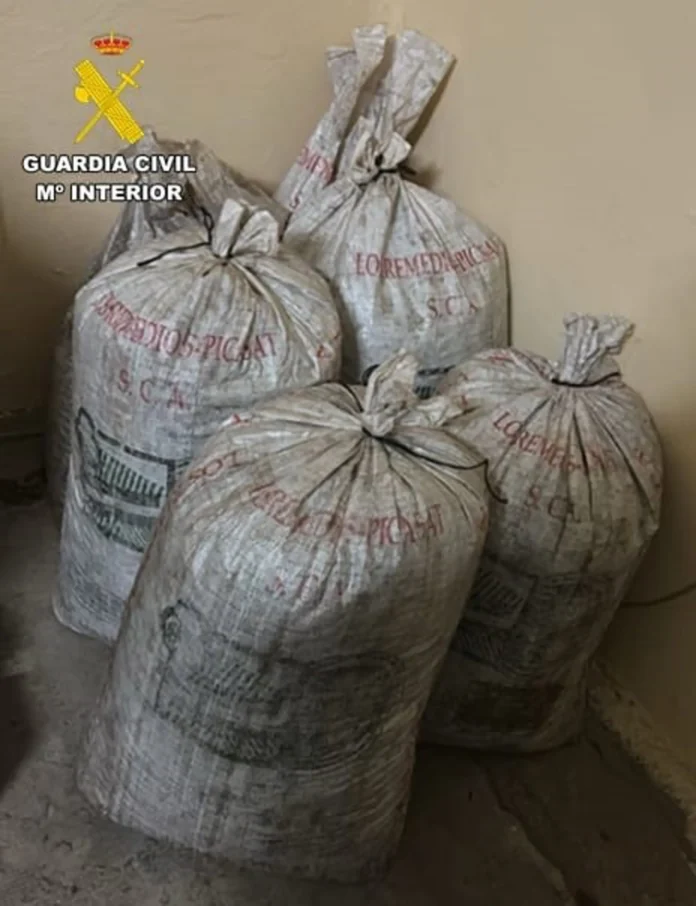 Detienen a un grupo de personas dedicadas al hurto continuado de aceituna en Toledo y Ciudad Real