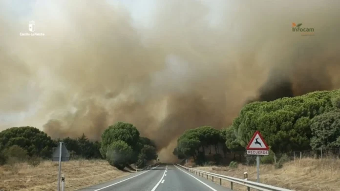 Ecologistas pide a Junta una reunión extraordinaria del Consejo Asesor de Medio Ambiente para abordar los incendios