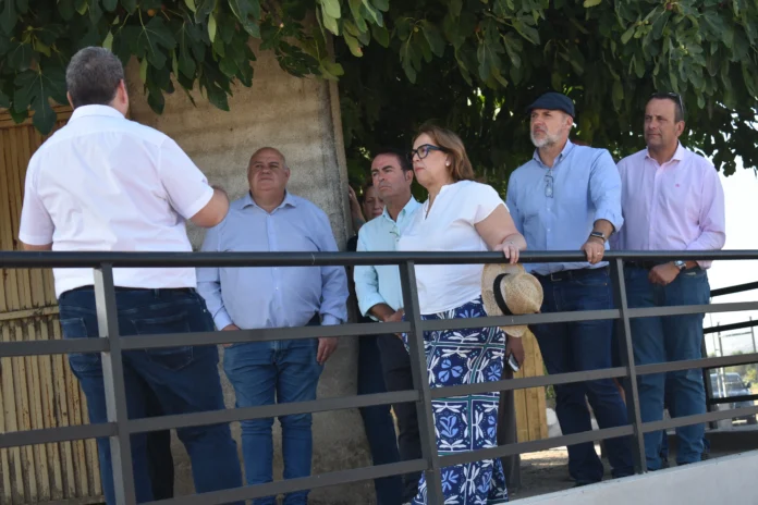 El Gobierno regional ha destinado en los últimos años más de 807.000 euros a la conservación, difusión e investigación de la villa romana de El Saucedo