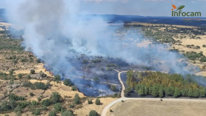 Extinguido el incendio declarado la semana pasada en Riofrío del Llano (Guadalajara)