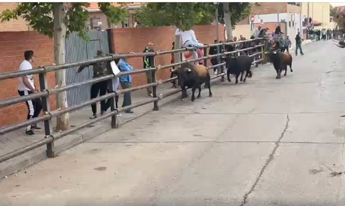 Encierro de Pantoja