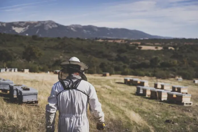 Servicios Apícolas Melque, los