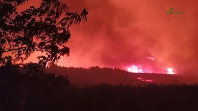 Sucesos.- El fuego de Calera y Chozas obliga a cortar dos carreteras y se recomienda confinamiento de 5.000 personas