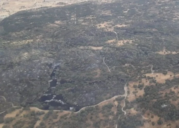 fotonoticia_20251011111555_1920