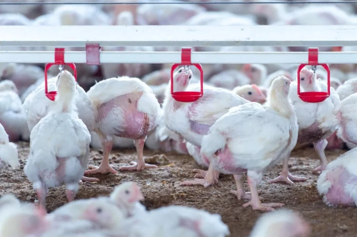 fotonoticia_20251119113058_1920