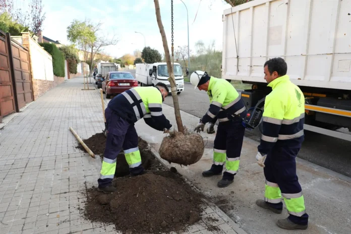 fotonoticia_20251206141349_1920