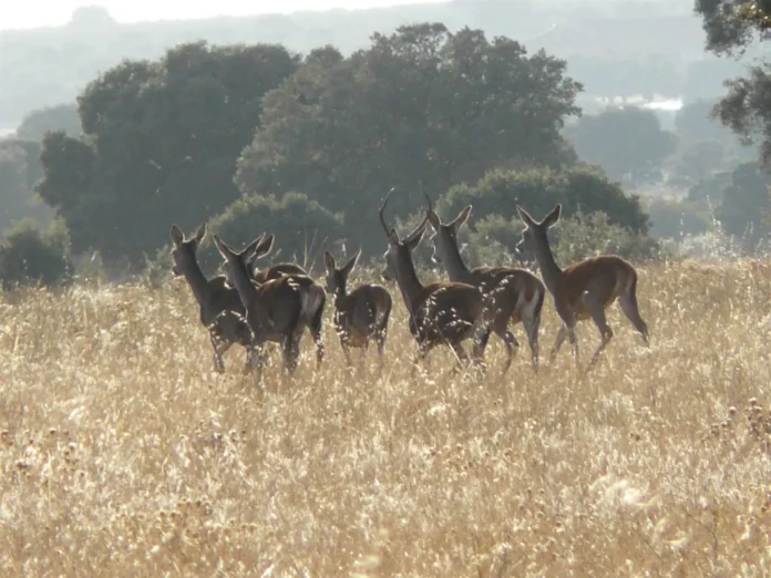 fotonoticia_20260218105851_1920