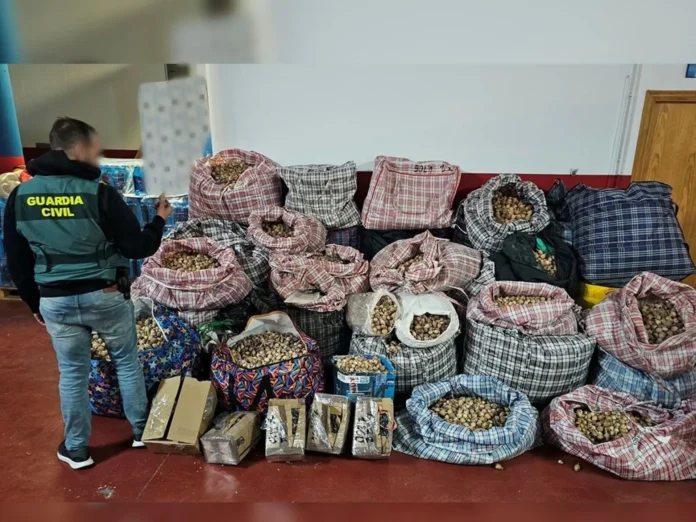 fotonoticia_20260221102300_1920