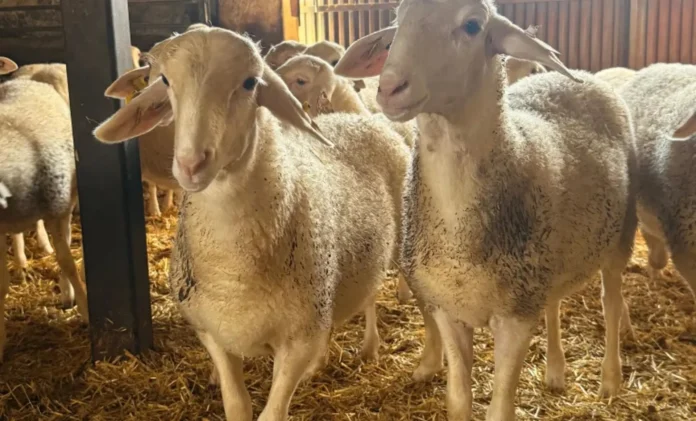 fotonoticia_20260323153749_1920