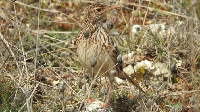 fotonoticia_20260330091350_1920