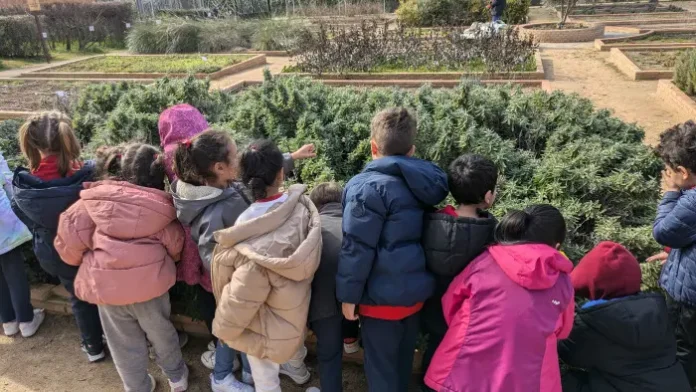 La Diputación de Toledo abre las reservas del programa didáctico del Vivero Educativo Taxus para el curso 2026-2027