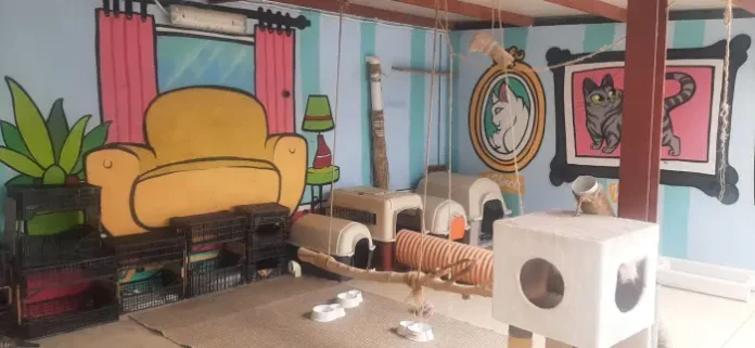 La Diputación de Toledo contribuye al cuidado y protección de animales abandonados en Talavera con 8.000 euros