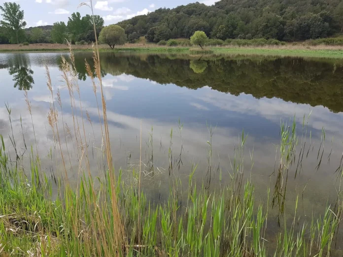 La restauración del Valle de las Hazadillas devuelve el agua a un humedal desaparecido junto a las Lagunas de Ruidera