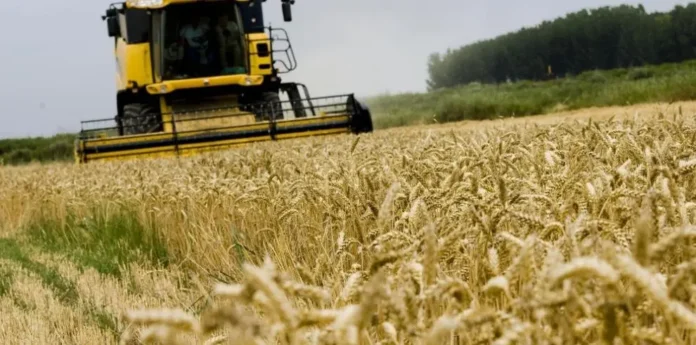 Los agricultores y ganaderos de C-LM cobrarán hasta el 30 de noviembre 445,6 millones del anticipo de la PAC