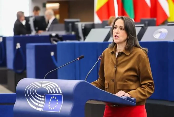 Maestre (PSOE) reclama respuestas europeas ante el aumento de los precios de los alimentos