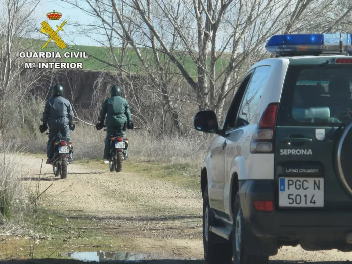 Suspendido el operativo de Guardia Civil y Seprona sin hallar indicios de un gran felino en Sierra de San Vicente