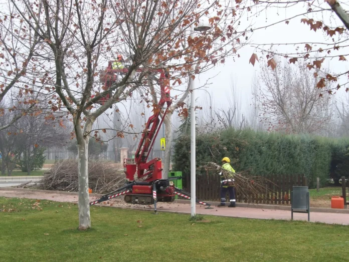 Toledo reabre los parques y jardines este miércoles ante la previsión de mejora de las condiciones meteorológicas