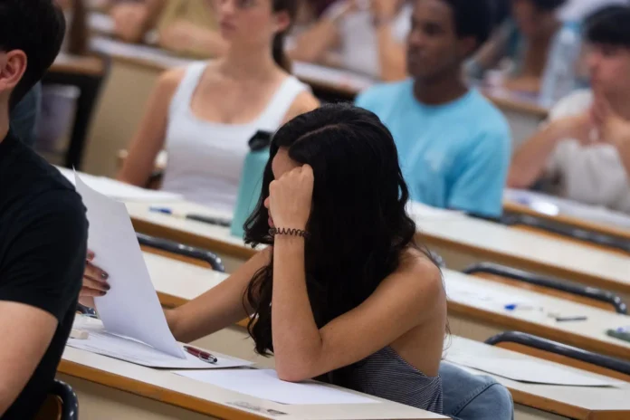 Un total de 36 universidades españolas darán formación para el empleo a jóvenes con discapacidad intelectual