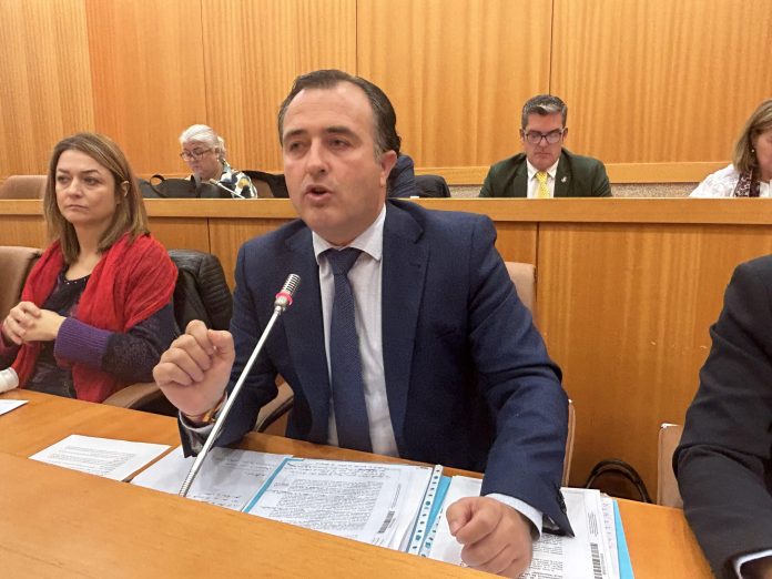 David Moreno - VOX Talavera